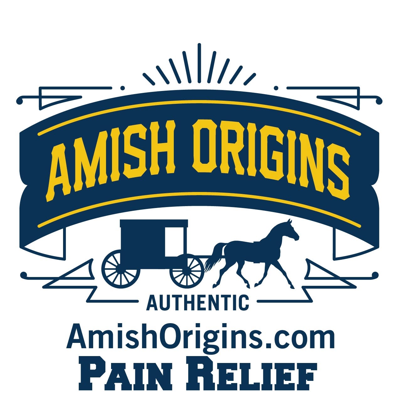 Amish Origins logo